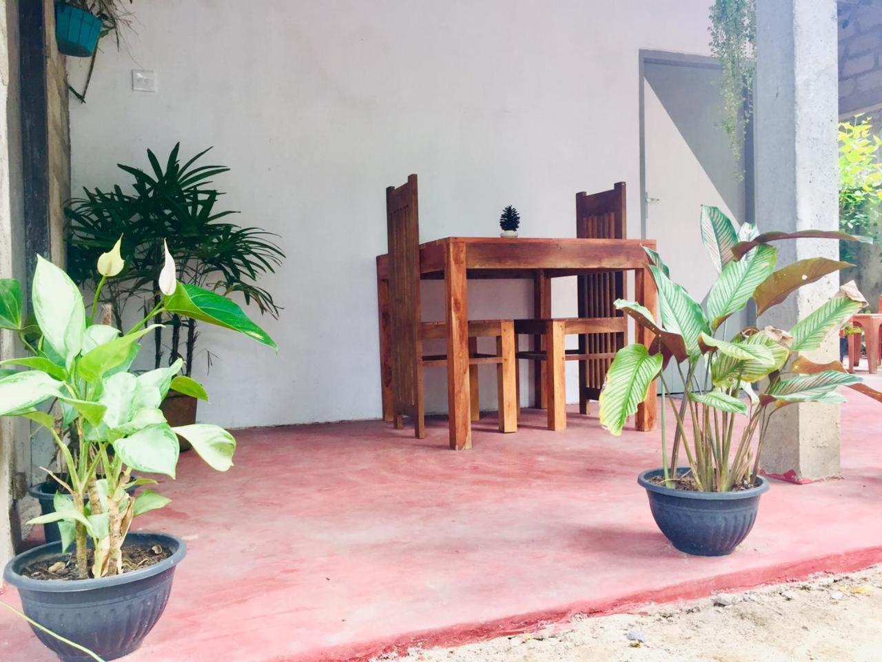 Ostello Surf Resort Ahangama Ngoại thất bức ảnh