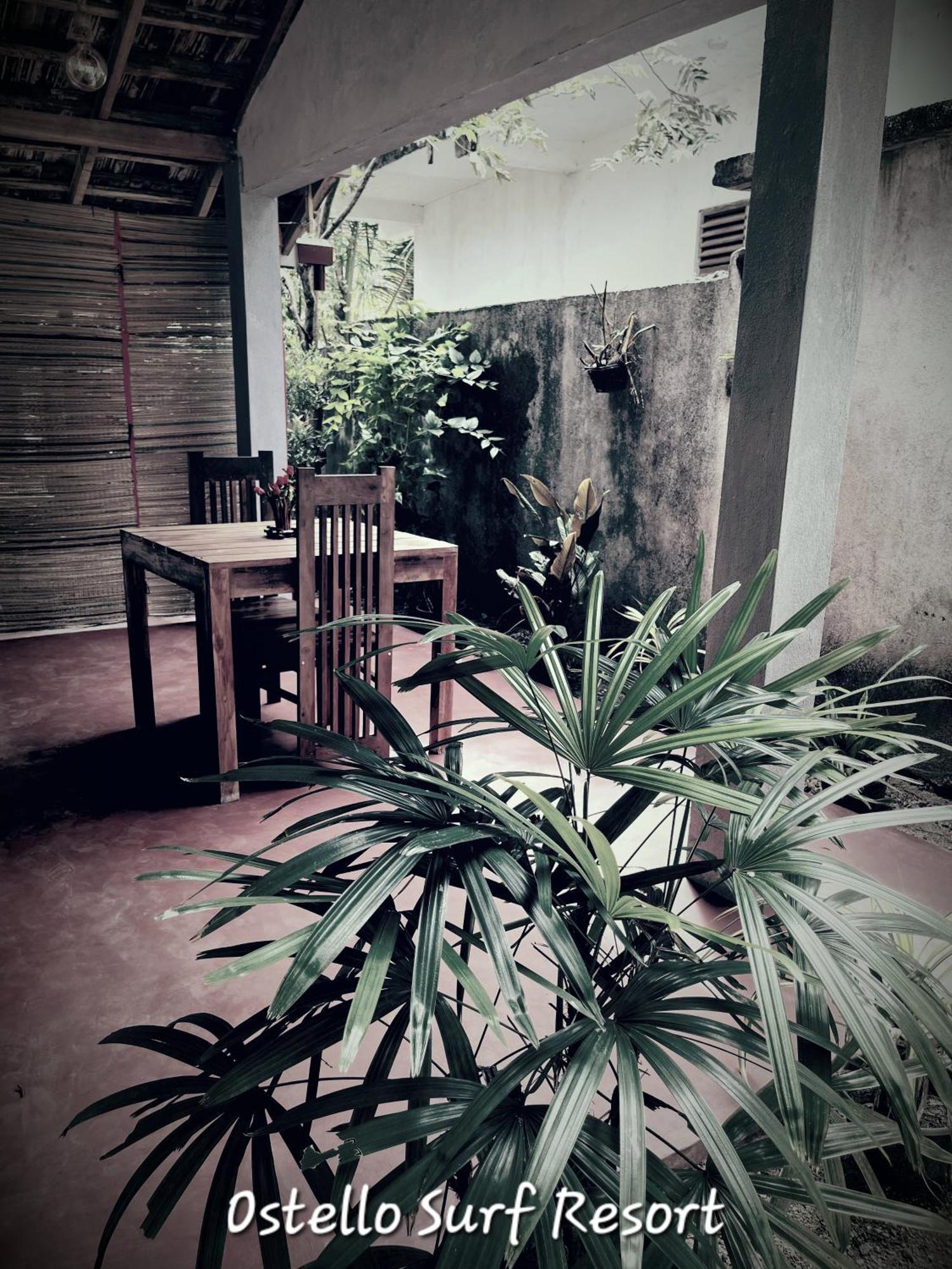 Ostello Surf Resort Ahangama Phòng bức ảnh