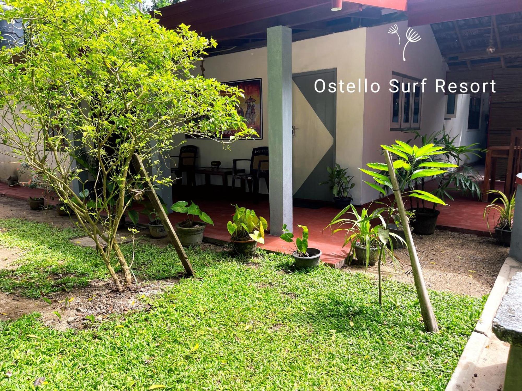 Ostello Surf Resort Ahangama Phòng bức ảnh